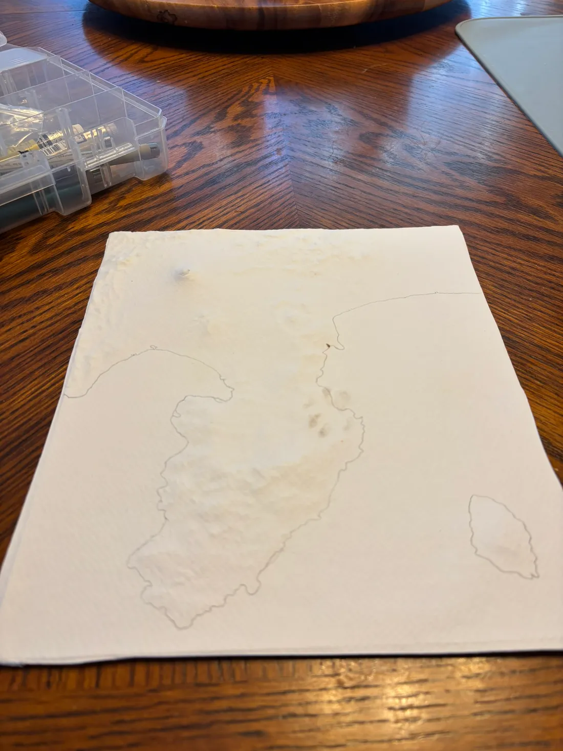 Paper glued, cut, and landscape outlined
